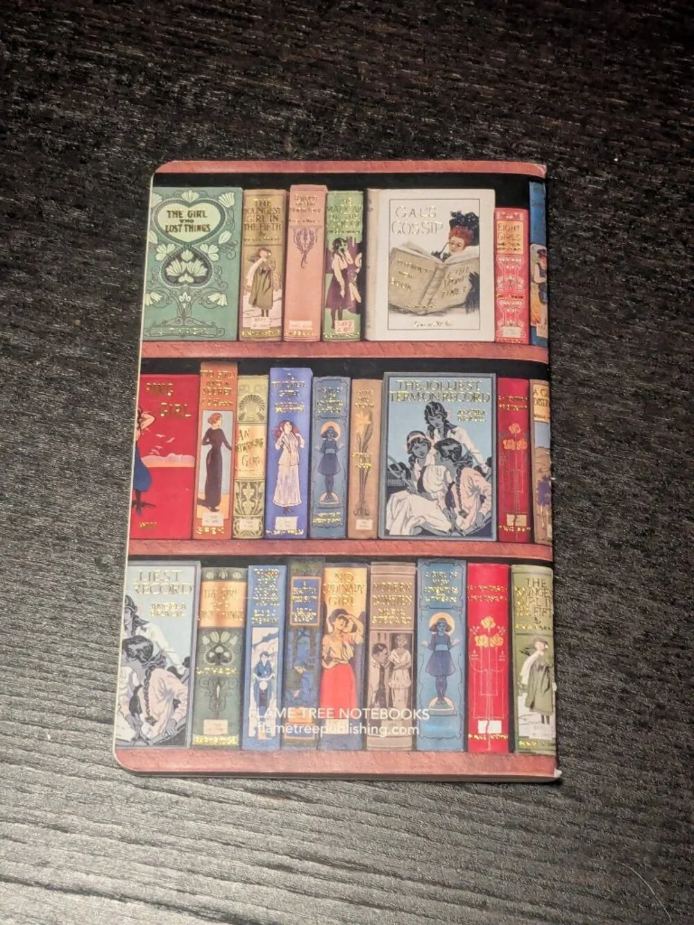 New Flame Tree Publishing Bookshelf bookshelves mini pocket lined notebook